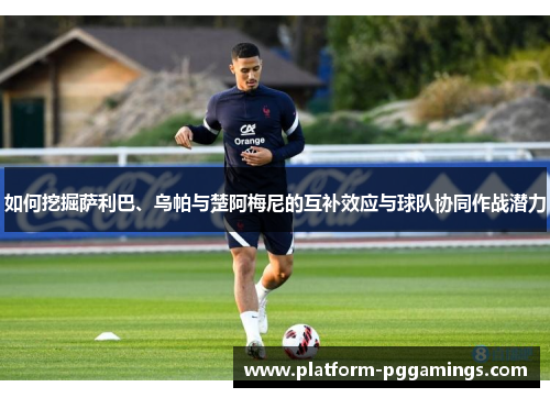 如何挖掘萨利巴、乌帕与楚阿梅尼的互补效应与球队协同作战潜力