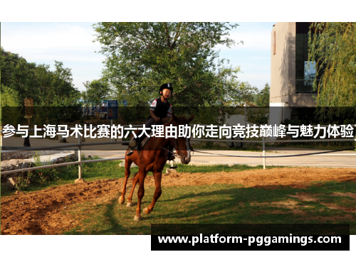 参与上海马术比赛的六大理由助你走向竞技巅峰与魅力体验
