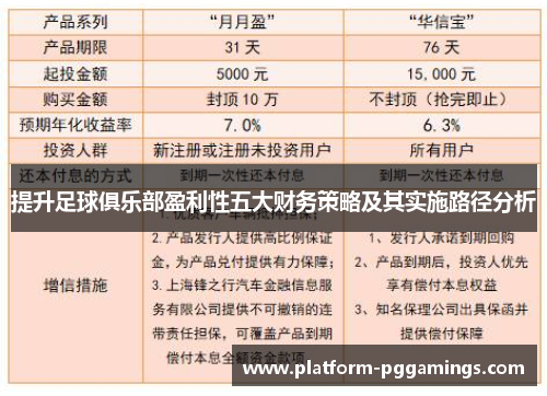 提升足球俱乐部盈利性五大财务策略及其实施路径分析