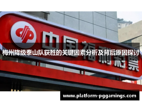 梅州降级泰山队获胜的关键因素分析及背后原因探讨