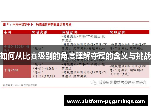 如何从比赛级别的角度理解夺冠的含义与挑战