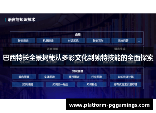 巴西特长全景揭秘从多彩文化到独特技能的全面探索