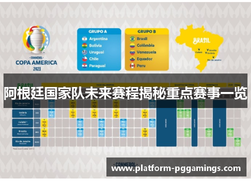 阿根廷国家队未来赛程揭秘重点赛事一览