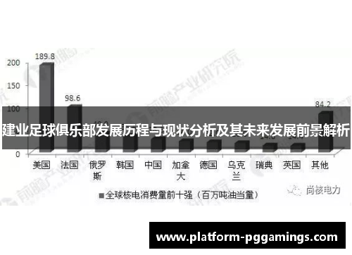 建业足球俱乐部发展历程与现状分析及其未来发展前景解析