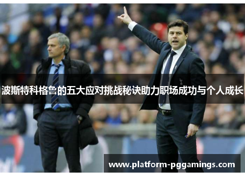 波斯特科格鲁的五大应对挑战秘诀助力职场成功与个人成长